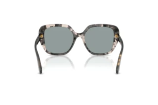 Rückansicht Dolce & Gabbana DG4569 (3172/1)