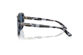 Seitenansicht Dolce & Gabbana DG4569 (344380)