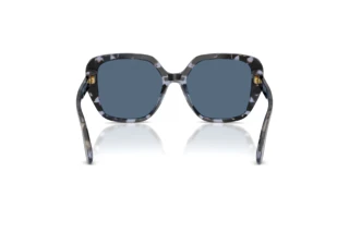 Rückansicht Dolce & Gabbana DG4569 (344380)
