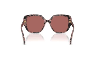 Rückansicht Dolce & Gabbana DG4569 (347669)