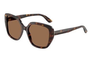 Vorderansicht Dolce & Gabbana DG4569 (502/73)