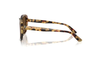 Seitenansicht Dolce & Gabbana DG4569 (512/73)