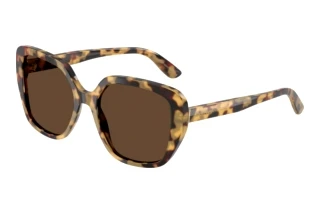 Vorderansicht Dolce & Gabbana DG4569 (512/73)