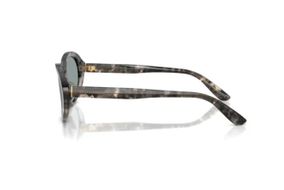 Seitenansicht Dolce & Gabbana DG4570 (3172/1)