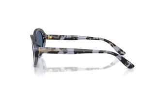 Seitenansicht Dolce & Gabbana DG4570 (344380)