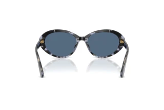 Rückansicht Dolce & Gabbana DG4570 (344380)