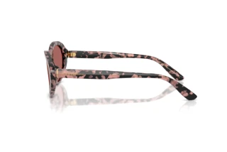 Seitenansicht Dolce & Gabbana DG4570 (347669)