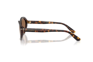Seitenansicht Dolce & Gabbana DG4570 (502/73)