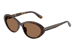 Vorderansicht Dolce & Gabbana DG4570 (502/73)