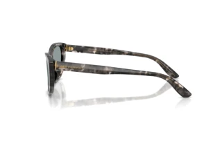 Seitenansicht Dolce & Gabbana DG4571 (3172/1)