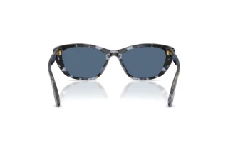 Rückansicht Dolce & Gabbana DG4571 (344380)