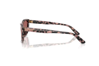 Seitenansicht Dolce & Gabbana DG4571 (347669)