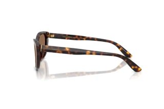 Seitenansicht Dolce & Gabbana DG4571 (502/73)