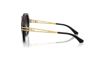 Seitenansicht Dolce & Gabbana DG6210 (501/8G)