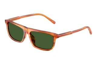 Vorderansicht Dolce & Gabbana DX4009 (348371)