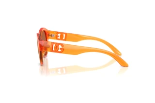 Seitenansicht Dolce & Gabbana DX6010 (33887J)