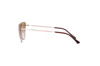 Seitenansicht Emporio Armani EA2108 (316713)