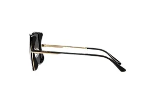 Seitenansicht Emporio Armani EA2142D (301387)