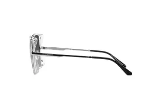 Seitenansicht Emporio Armani EA2142D (30158G)