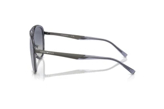 Seitenansicht Emporio Armani EA2145 (33584L)