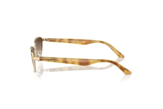 Seitenansicht Emporio Armani EA2153 (301313)