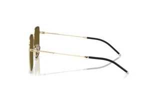 Seitenansicht Emporio Armani EA2159D (301373)