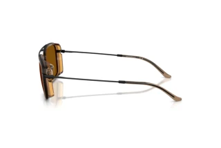 Seitenansicht Emporio Armani EA2162 (300163)