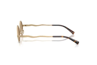 Seitenansicht Emporio Armani EA2166 (30027J)