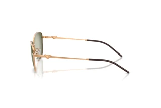 Seitenansicht Emporio Armani EA2170 (342713)