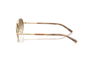 Seitenansicht Emporio Armani EA2171 (300213)