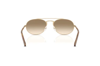 Rückansicht Emporio Armani EA2171 (300213)