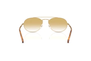 Rückansicht Emporio Armani EA2171 (30022Q)