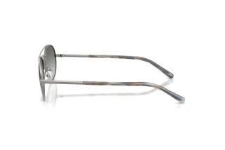 Seitenansicht Emporio Armani EA2171 (300311)