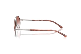 Seitenansicht Emporio Armani EA2171 (30038D)