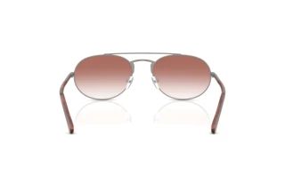 Rückansicht Emporio Armani EA2171 (30038D)