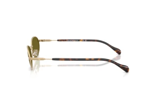 Seitenansicht Emporio Armani EA2175 (3002/2)