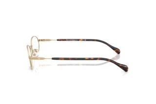 Seitenansicht Emporio Armani EA2175 (30021W)