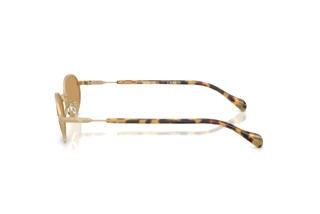 Seitenansicht Emporio Armani EA2175 (300273)