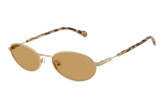 Vorderansicht Emporio Armani EA2175 (300273)