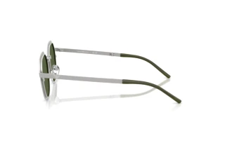 Seitenansicht Emporio Armani EA2176 (301571)