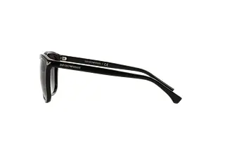 Seitenansicht Emporio Armani EA4060 (50178G)