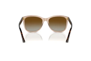 Rückansicht Emporio Armani EA4060 (5850T5)