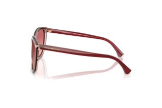 Seitenansicht Emporio Armani EA4060 (6377A5)