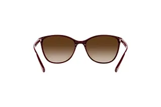 Rückansicht Emporio Armani EA4073 (557613)
