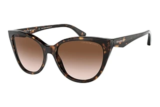 Vorderansicht Emporio Armani EA4162 (587913)