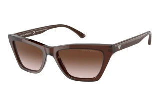 Vorderansicht Emporio Armani EA4169 (591013)