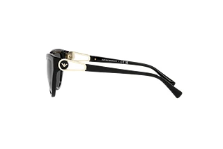 Seitenansicht Emporio Armani EA4192 (501787)