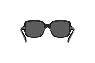 Rückansicht Emporio Armani EA4195 (501787)