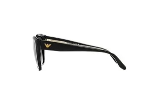 Seitenansicht Emporio Armani EA4198 (50178G)