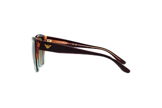 Seitenansicht Emporio Armani EA4198 (59898E)